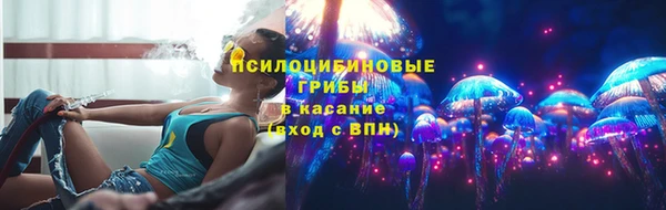 spice Арсеньев