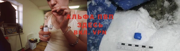 spice Арсеньев
