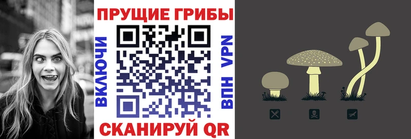 Псилоцибиновые грибы GOLDEN TEACHER  купить наркоту  Енисейск 